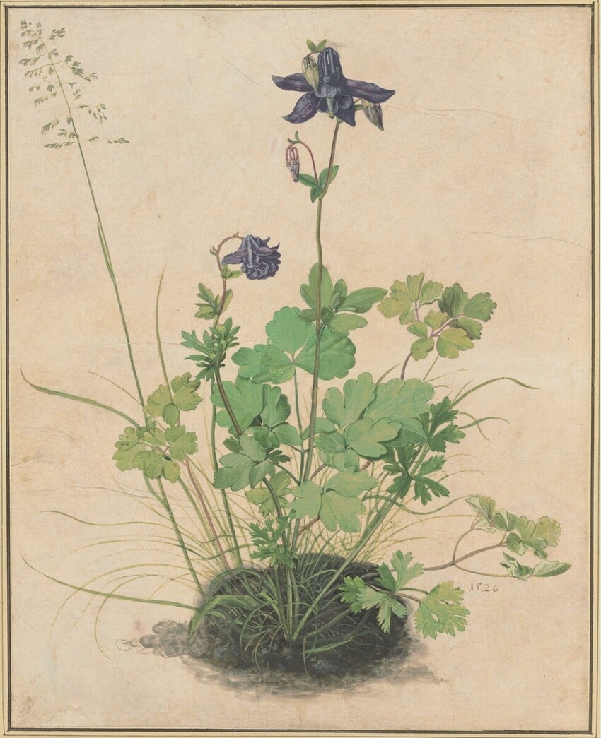 Albrecht Dürer,